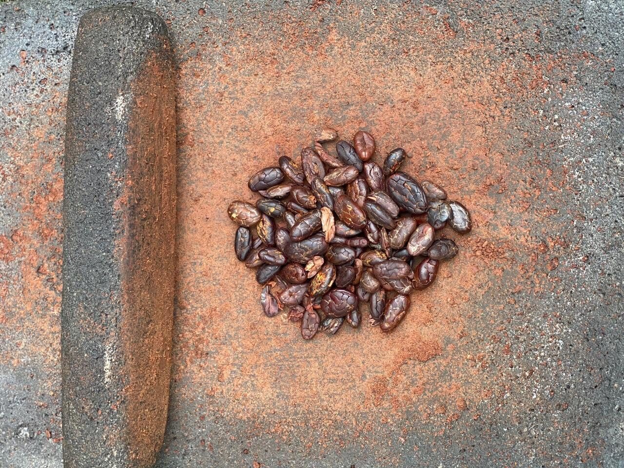 cacao beans cacao tigra