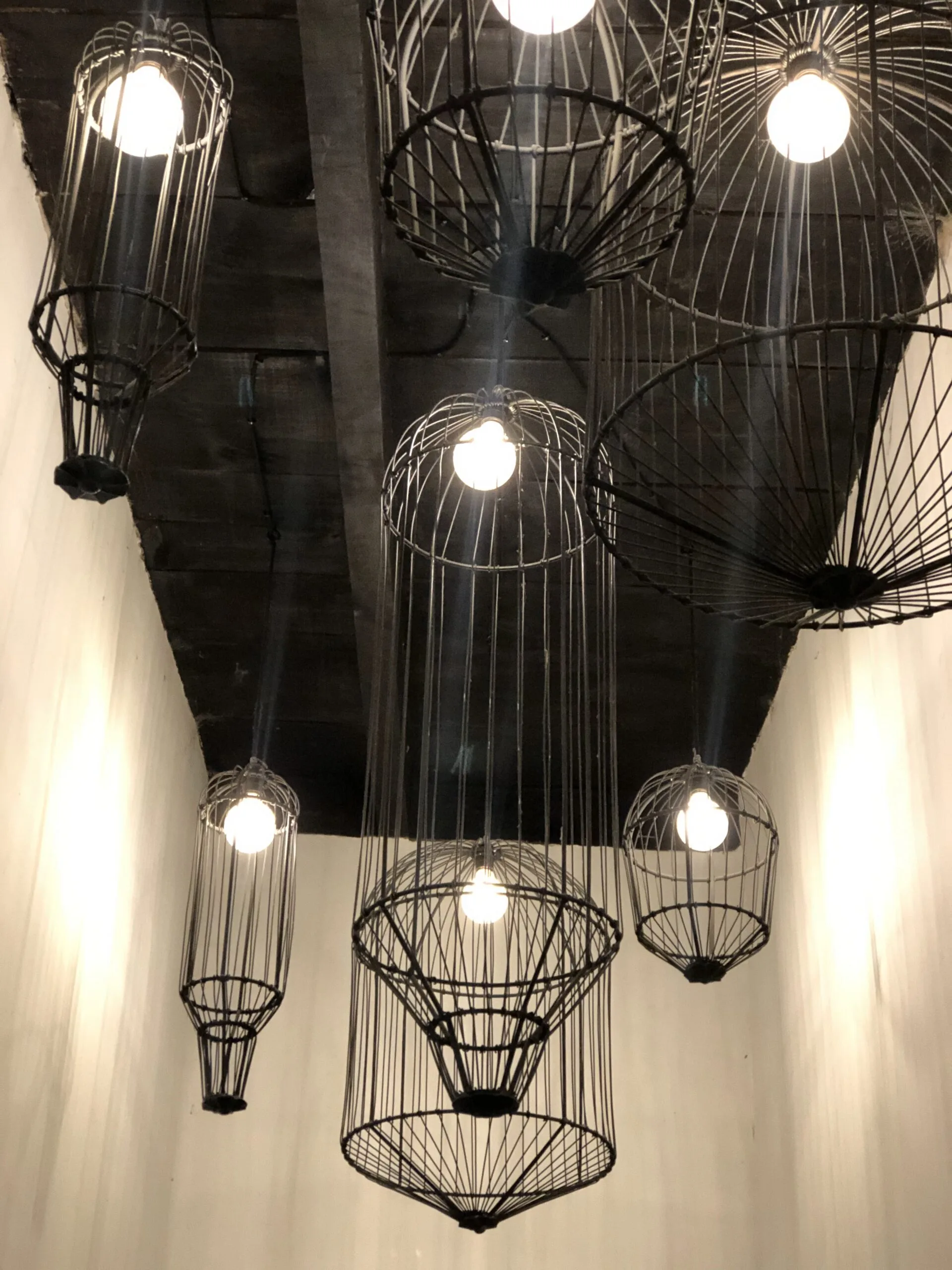 AlexaMaithe_2018-2020 (7) Image