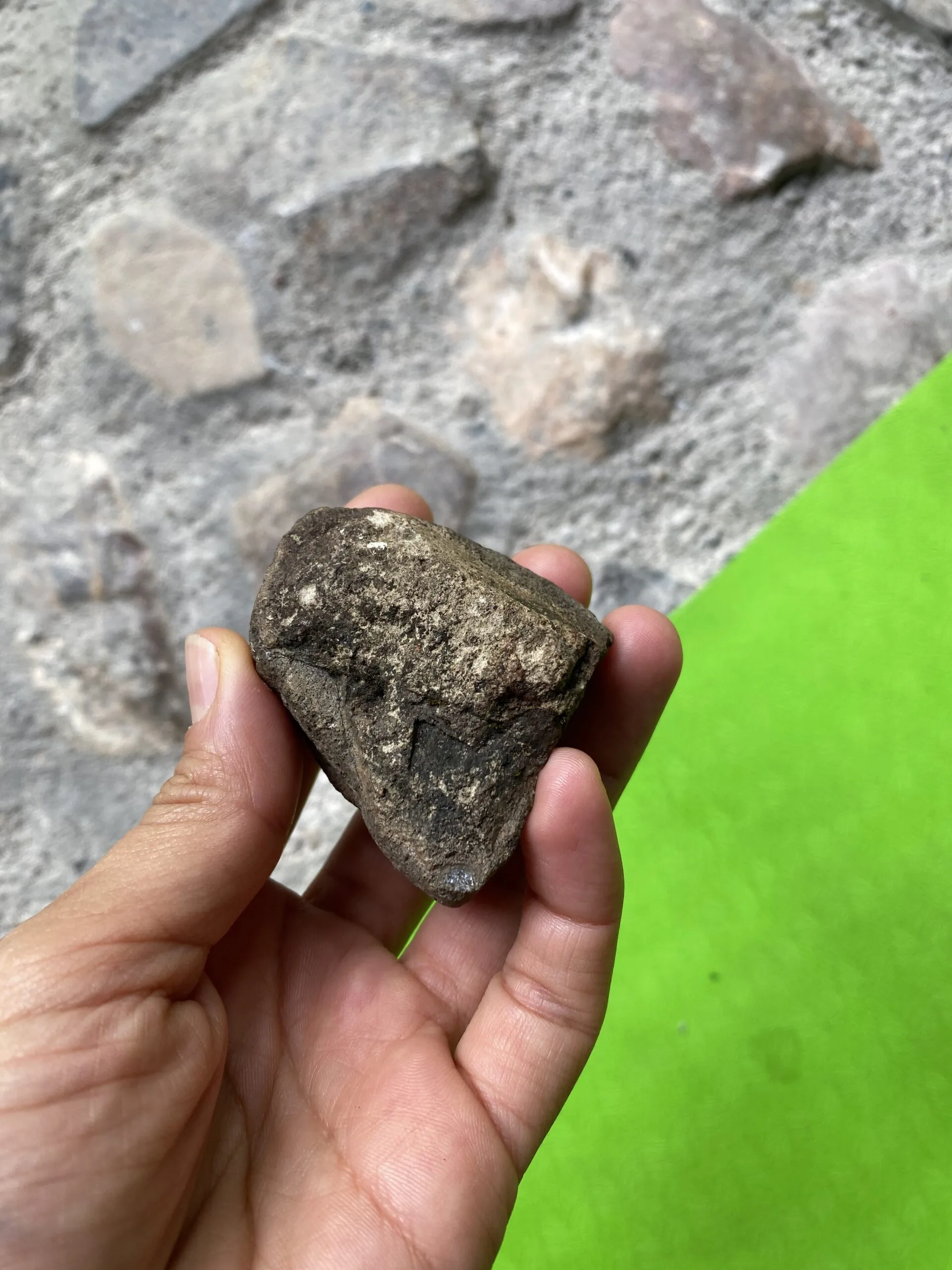 AlexaMaithe_2021-2023 (30) Image